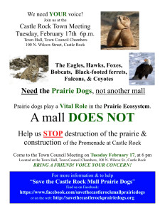 Prairie Dog Flyer