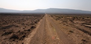 Creosote Road